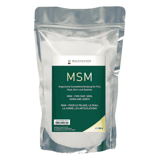 MSM