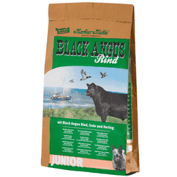Black Angus Junior