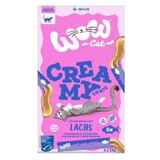 Creamy Snack mit Lachs
