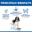 Canine Adult Medium Breed Chicken