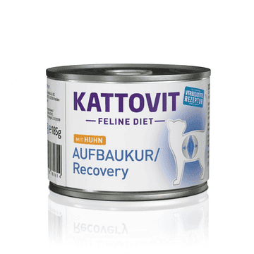 Aufbaukur/Recovery