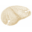 Swisspet Living cat scratcher, kit system, kidneys