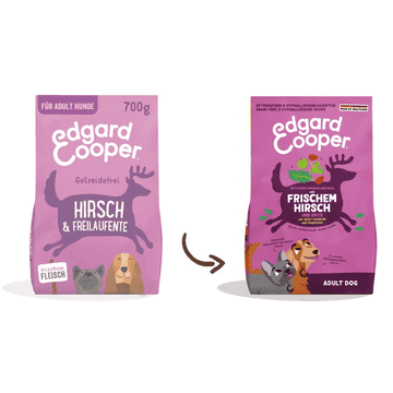 kudde hundebett Hundebett KUDDE Bouclé – orthopädisch & stilvoll