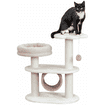 Isabella cat scratcher