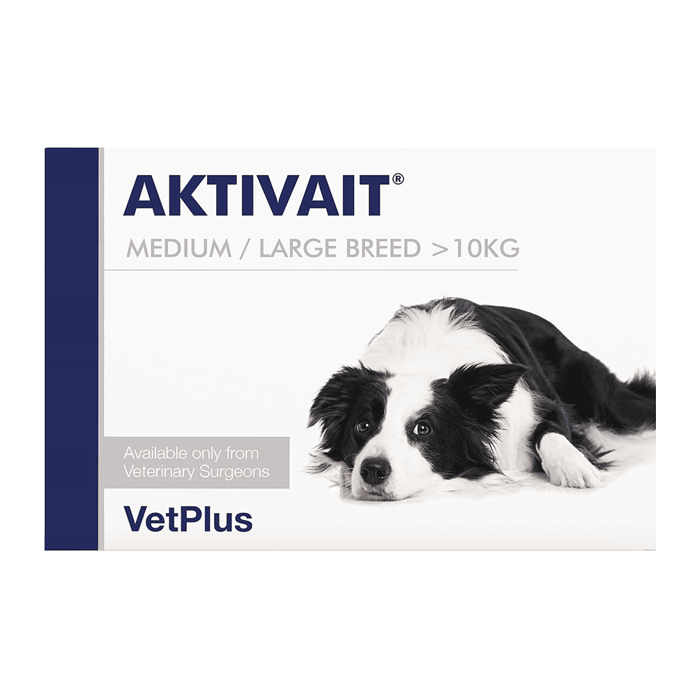AKTIVAIT