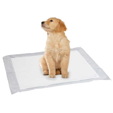 Puppy Pads