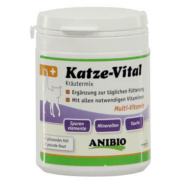 Katze-Vital
