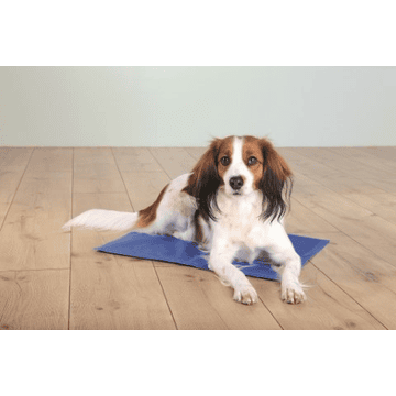 Cooling Mat blue