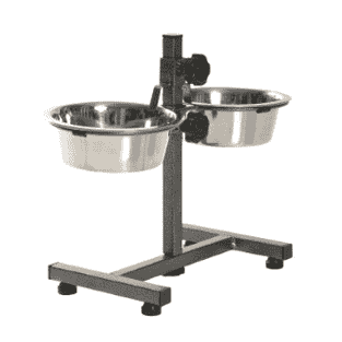 Bar pour chiens