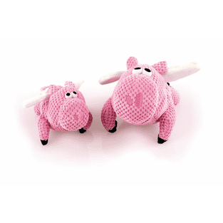 Flying Pig