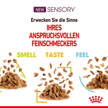 Sensory TASTE (Stückchen in Sauce) Frischebeutel