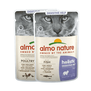 Holistic Digestive Help