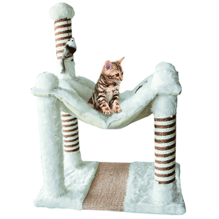Hangover cat scratcher