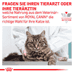 Hepatic Cat