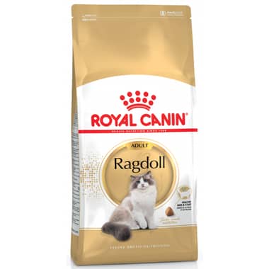 Ragdoll