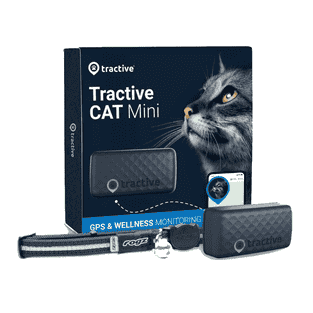GPS Tracker für Katzen