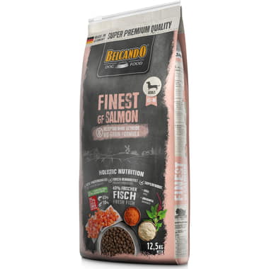 Finest GF Salmon