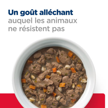Feline Gastrointestinal Biome Digestive/Fibre Care Stress
