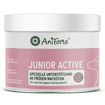 Junior Active