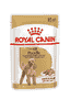 Caniche - sachet