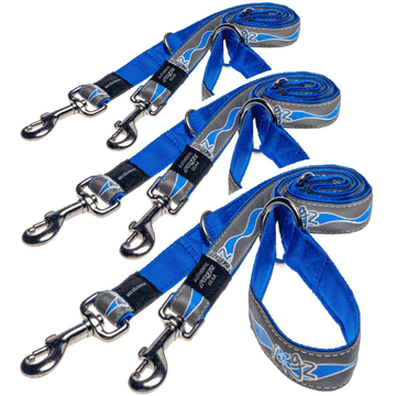 Dog leash Reflective Blue