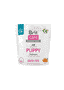 Care Puppy grain-free