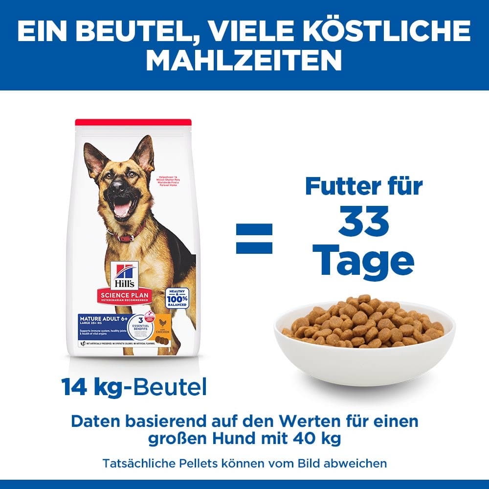 Canine Mature Adult 6+ Large Breed