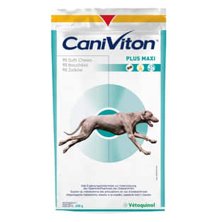 Caniviton Plus Maxi