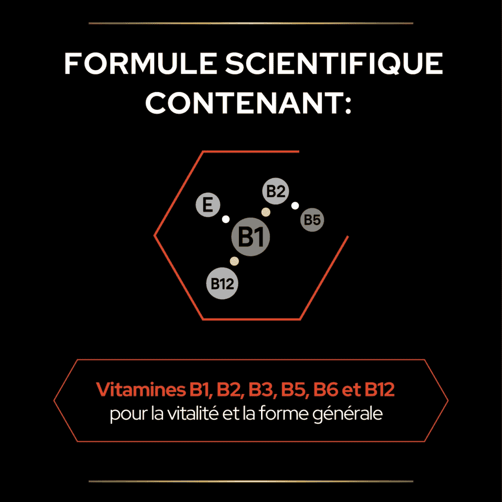 Cat Multivitamins +