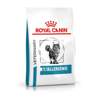 Anallergenic Cat