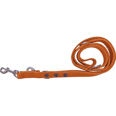 Laisse en cuir Edelweiss, orange