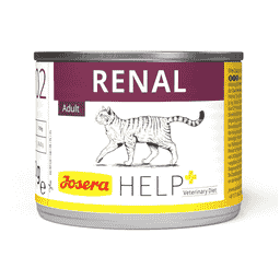 Renal Cat Wet