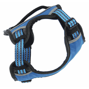 Geschirr Bruce, blau
