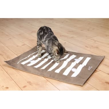 Cat Activity Pföteldecke