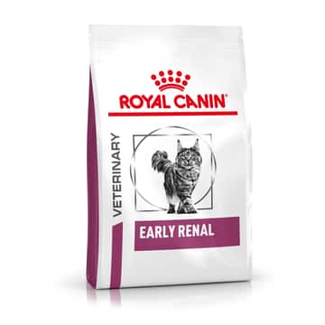Early Renal Cat