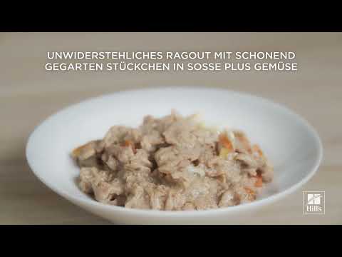 Kitten Favourite Selection - Frischebeutel