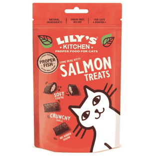Salmon Treats for Cats
