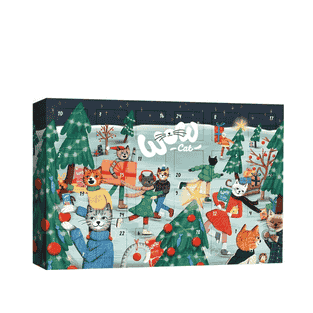 Adventskalender 2024 für Katzen