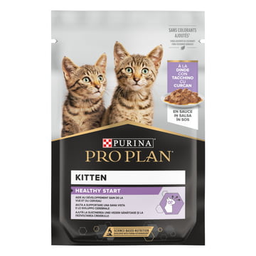 Kitten Healthy Start Truthahn