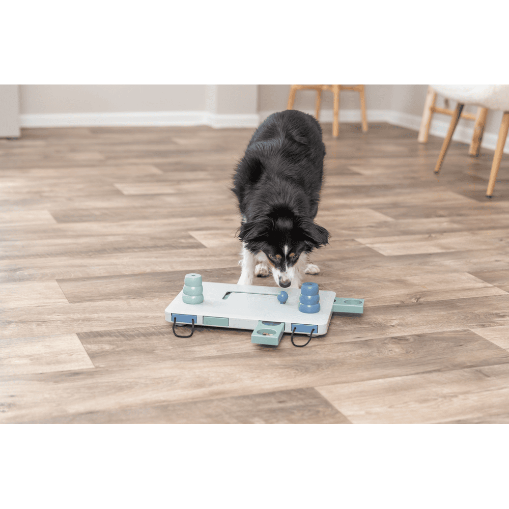 Dog Activity Move2Win