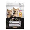 KITTEN Healthy Start