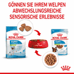 X-Small Puppy Gravy - Frischebeutel