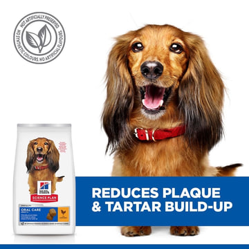 Canine Oral Care Adult