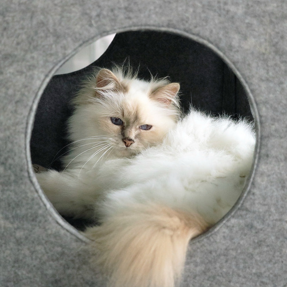 Nala felt play cube