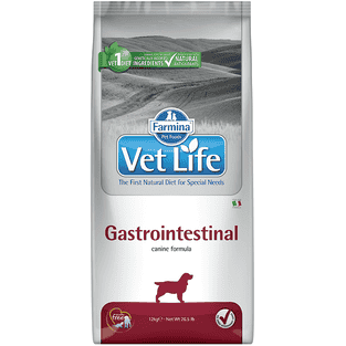 Canine Gastrointestinal