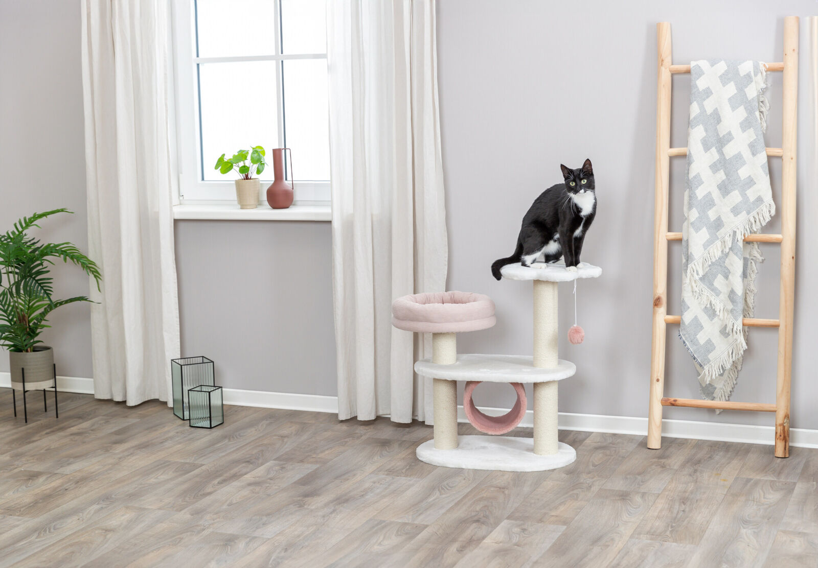 Isabella cat scratcher