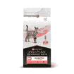 FELINE DM St/Ox Diabetes Management