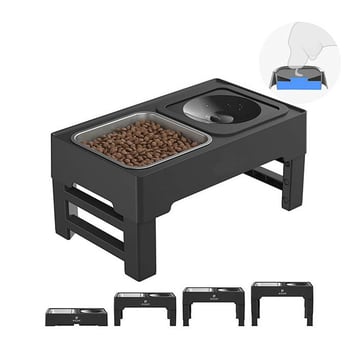 Feeding platform Brain