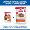 Feline Adult Turkey - Sachet