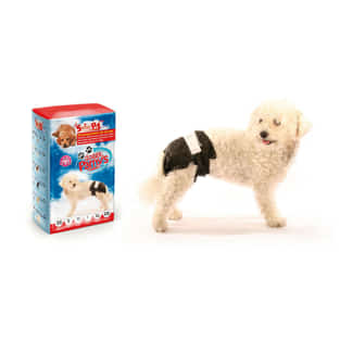 Doggy Pamy’s couches mono-usage pour chiens